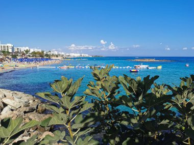 Protaras. Kıbrıs. İncir Ağacı Koyu 'nun kumlu plajı, insanlar güneşlenir ve şemsiyeler altında dinlenir, Akdeniz' de yüzerler..