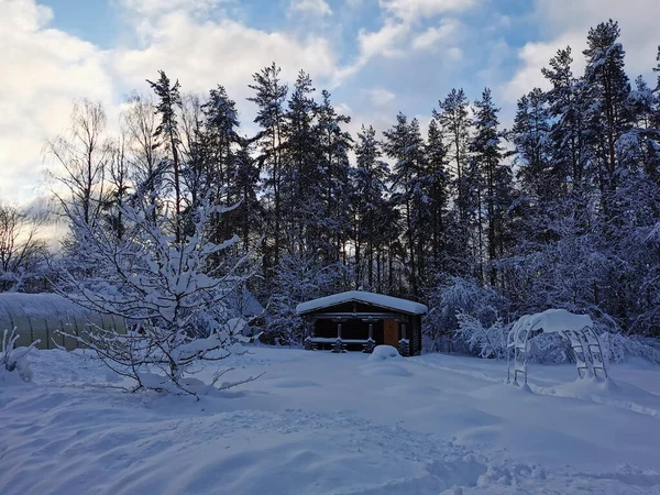 Tek Katlı Ahşap Bir Karla Kaplı Ağaçların Arasında Kar Altında — Stok fotoğraf