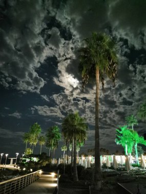 Protaras.Cyprus. Akdeniz sahilinde büyük bir yüzme havuzu, palmiye ağaçları ve mavi bir gökyüzüne karşı..