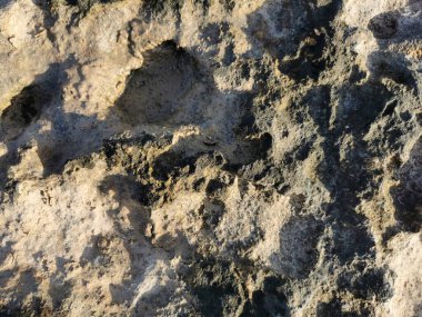 Protaras. Kıbrıs. Akdeniz kıyıları, taş bir tepe, sonunda bir balıkçı, denizde bulutlu mavi bir gökyüzüne karşı beyaz bir zevk yatı.