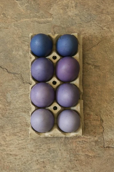 Närbild Rustik Påsk Ägg Förpackning Violett Färg Gradient — Stockfoto