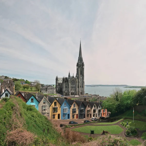 Cobh, İrlanda 'daki St. Colman Katedrali ve Renkli Evler 