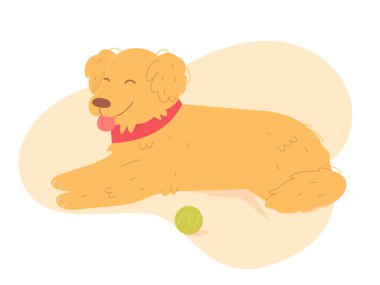 Sevimli köpek yerde tek başına yatıp top oynayıp uyuyor. Tembel köpek yavrusu gibi.