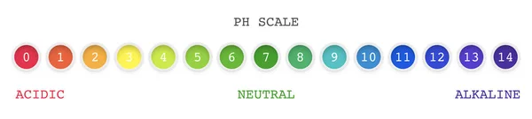 Wykres skali wartości Ph dla kwasu, roztworu zasadowego, miernik z okrągłym tęczowym wskaźnikiem — Wektor stockowy