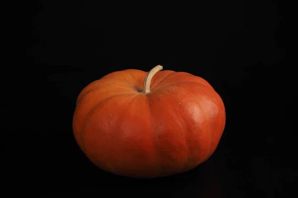 Calabaza Primer Plano Sobre Fondo Negro Aislado Halloween Foto Alta — Foto de Stock