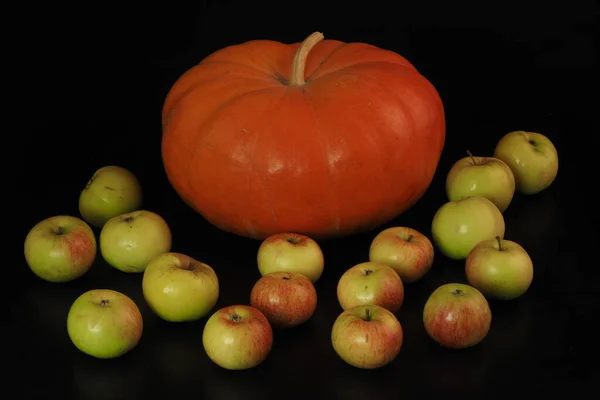 Cosecha Otoño Calabaza Redonda Madura Manzanas Sobre Fondo Negro Halloween — Foto de Stock