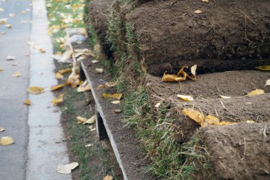 Parktaki palette yeşil çimenler ve rulo ekmekler. Yüksek kalite fotoğraf