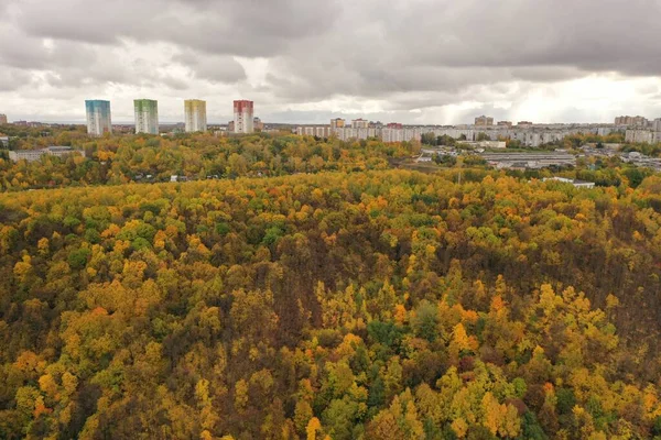 Осінній Пейзаж Вид Осінній Ліс Жовтим Листям Деревах Фотографія Безпілотника — стокове фото