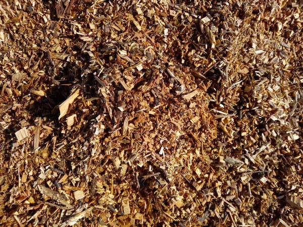 Natural Wood Sawdust Natural Texture High Quality Photo — Stock Photo, Image