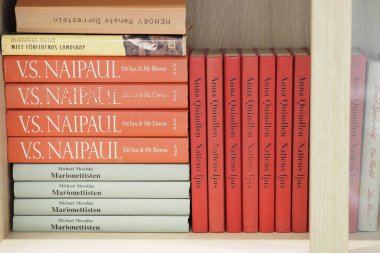 Kitaplar rafta. Ev kitaplığı.