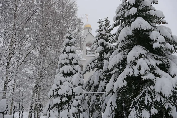 Zimní Krajina Velké Smrky Ortodoxní Kostel Sněžná Zima Vánoční Svátky — Stock fotografie