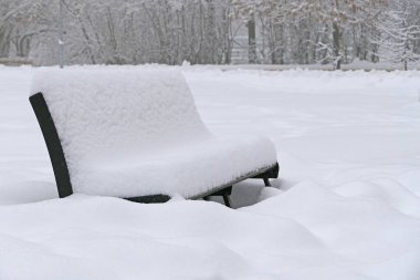 Karlı kış. Kar yağışı. Kar parktaki bankları kapladı. Yüksek kalite fotoğraf