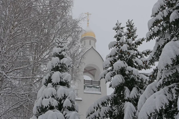 Zimní Krajina Velké Smrky Ortodoxní Kostel Sněžná Zima Vánoční Svátky — Stock fotografie