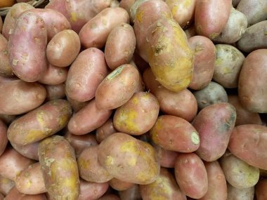 Patates hasadı, yakın plan, tam kare. Yüksek kalite fotoğraf