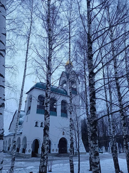Ορθόδοξη Εκκλησία Χειμώνα Λευκή Εκκλησία Χειμώνα Υψηλής Ποιότητας Φωτογραφία — Φωτογραφία Αρχείου