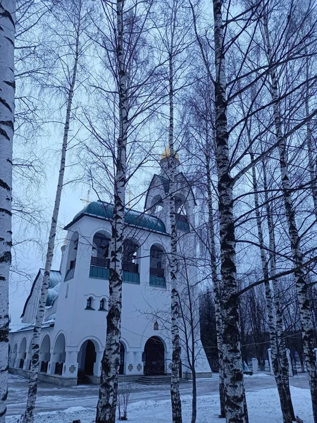 Iglesia Ortodoxa Invierno Iglesia Blanca Invierno Foto Alta Calidad —  Fotos de Stock