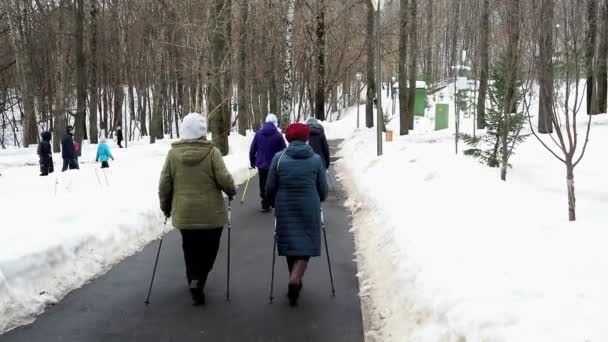 Nordic Berjalan Orang Tua Melakukan Perjalanan Nordik Dengan Berjalan Tiang — Stok Video