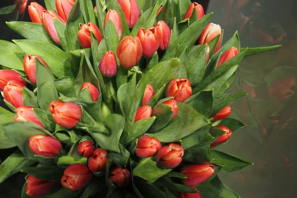 Florística Flores Frescas Tulipanes Frescos Hermoso Ramo Fondo Marco Completo — Foto de Stock