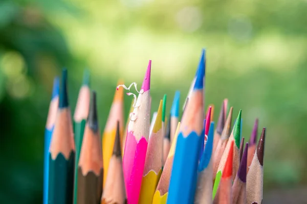 Many Color Pencil Green Background — Stockfoto