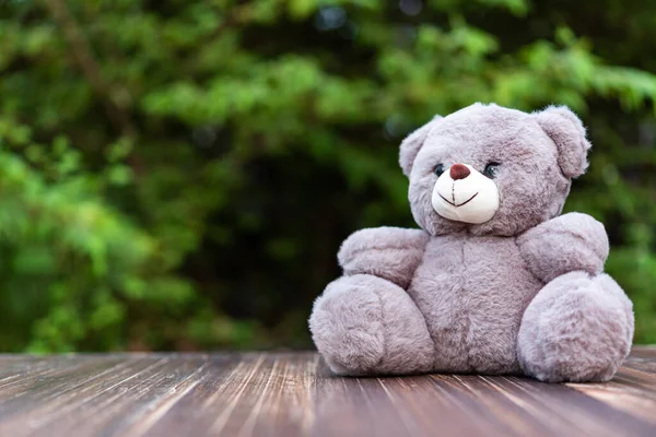 teddy bear on brown wood shelf on green leaves background