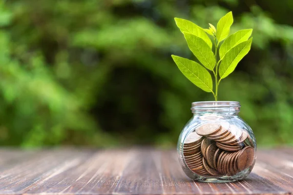 Plant Grownth Bottle Coins Money Saving — Fotografia de Stock