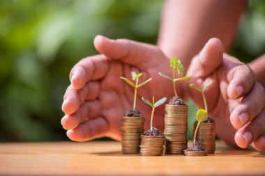 İnsan eli para üstünde büyüyen bitkilerle büyüyen madeni paraları korur. finans ve muhasebe kavramı