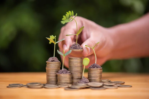 Man Hand Putting Coins Growing Stack Plant Growing Money Finance — Stock Fotó