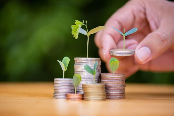 Man Hand Putting Coins Growing Stack Plant Growing Money Finance — Stockfoto