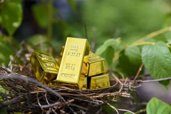 Goldbarren Vogelnest — Stockfoto