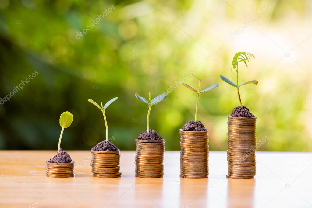 growing stack of coins with plant growing on money . finance and accounting concept