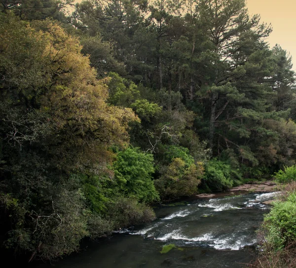 グランデ スル州グラマドの森の山の川 — ストック写真