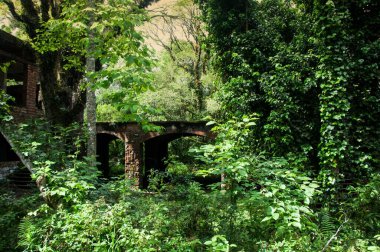 Güney Brezilya, Canela 'da terk edilmiş bir kumarhanenin kalıntıları.