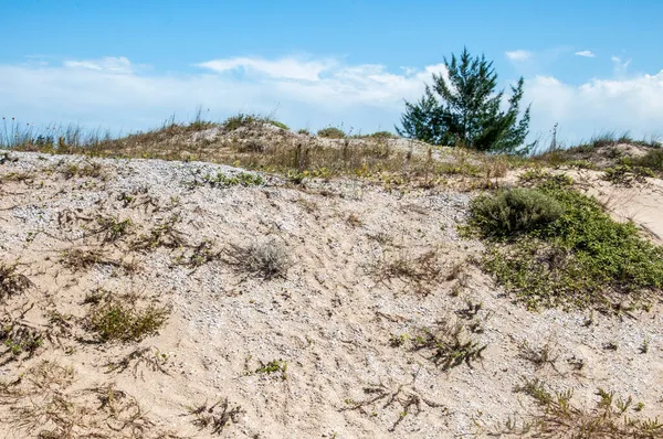 Sambaqui, Güney Brezilya 'daki kumların kumullarında.