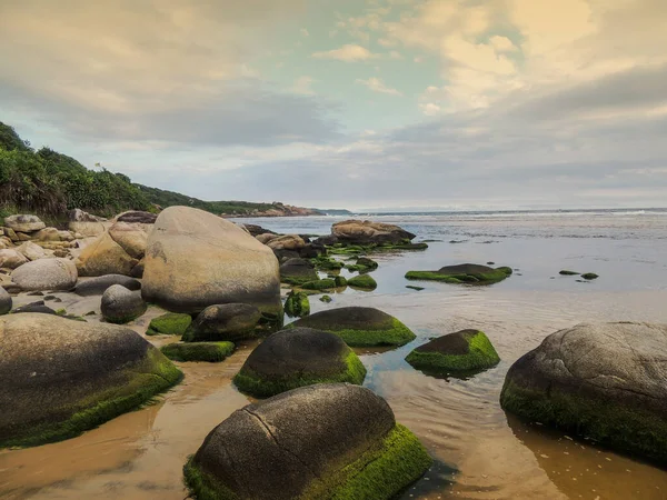  Guarda do Embau 'daki plaj ve kayalar, Santa Catarina