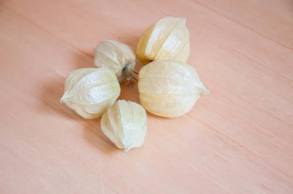 Açık renkli bir masanın üstünde Phisalis.