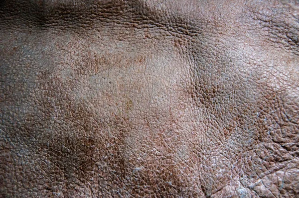 Kahverengi Tonda Antik Deri Dokusu — Stok fotoğraf