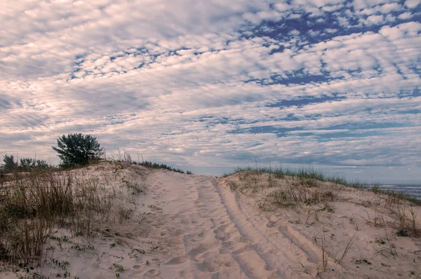 Duinen Het Strand Met Nabijgelegen Vegetatie Arroio Sal Braziliaans — Stockfoto