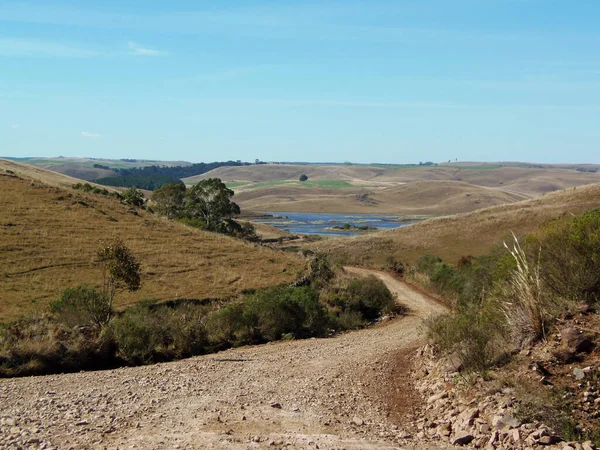 Weg Het Veld Bom Jesus Zuid Brazilië — Stockfoto