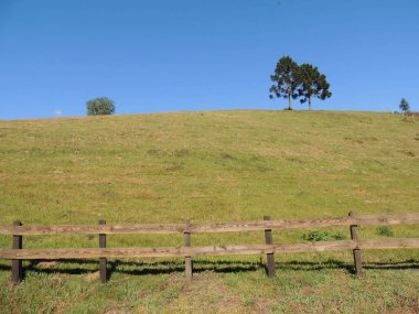 Çitli yastık ve arka planda mavi gökyüzü olan ağaçlar.