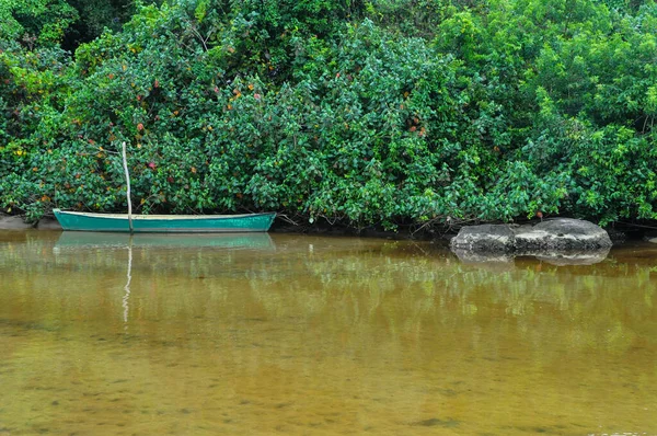 Boot Auf Dem Fluss Mit Wald Dahinter — Stockfoto