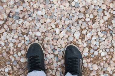 Uruguay sahilinde ayakkabılar.