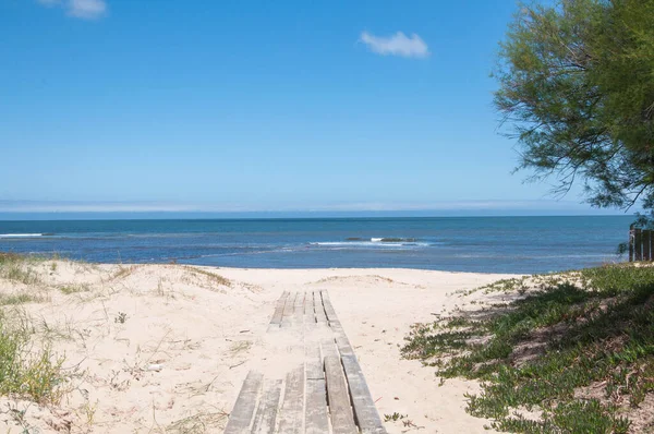 Wooden Path Beach Uruguay — стоковое фото