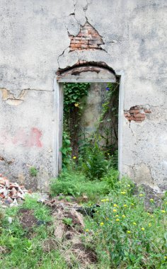 Uruguay 'da harap olmuş bir evin güzel antik kapısı.