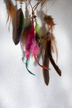 Beyaz arkaplanda renkli tüyler