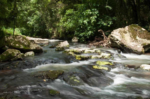 ブラジルのノヴァペトロポリスの岩や石や緑の葉を持つ森の小さな滝 — ストック写真