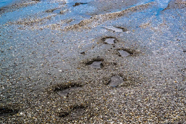 Deep Footprints Beach Sand — Stock Photo, Image