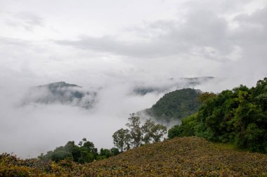 Gündüz bulutlu gökyüzü manzaralı Caxias do sul, Brezilya 