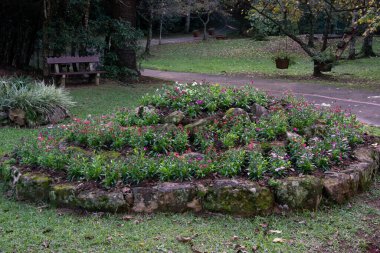 Brezilya 'da bir yaz gününde çiçekli güzel bir bahçe. 