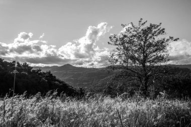 Picada Cafe, Brezilya 'nın arka planında çimenli ağaçlar ve dağlar olan güzel bir manzara. 
