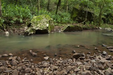 Ormandan geçen güzel bir derenin manzarası